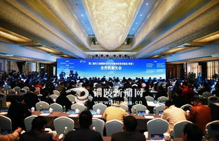 聚焦湖光山色，赋能发展新引擎——长三角重量级大会在铜陵开幕