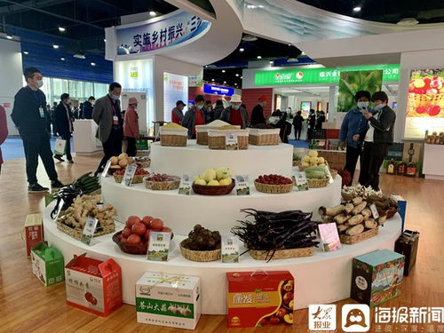 第九届兰陵苍山蔬菜产业博览会暨第九届沂蒙优质农产品交易会盛大开幕