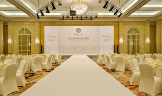 会议服务 从基础会议到综合展览的专业化支持